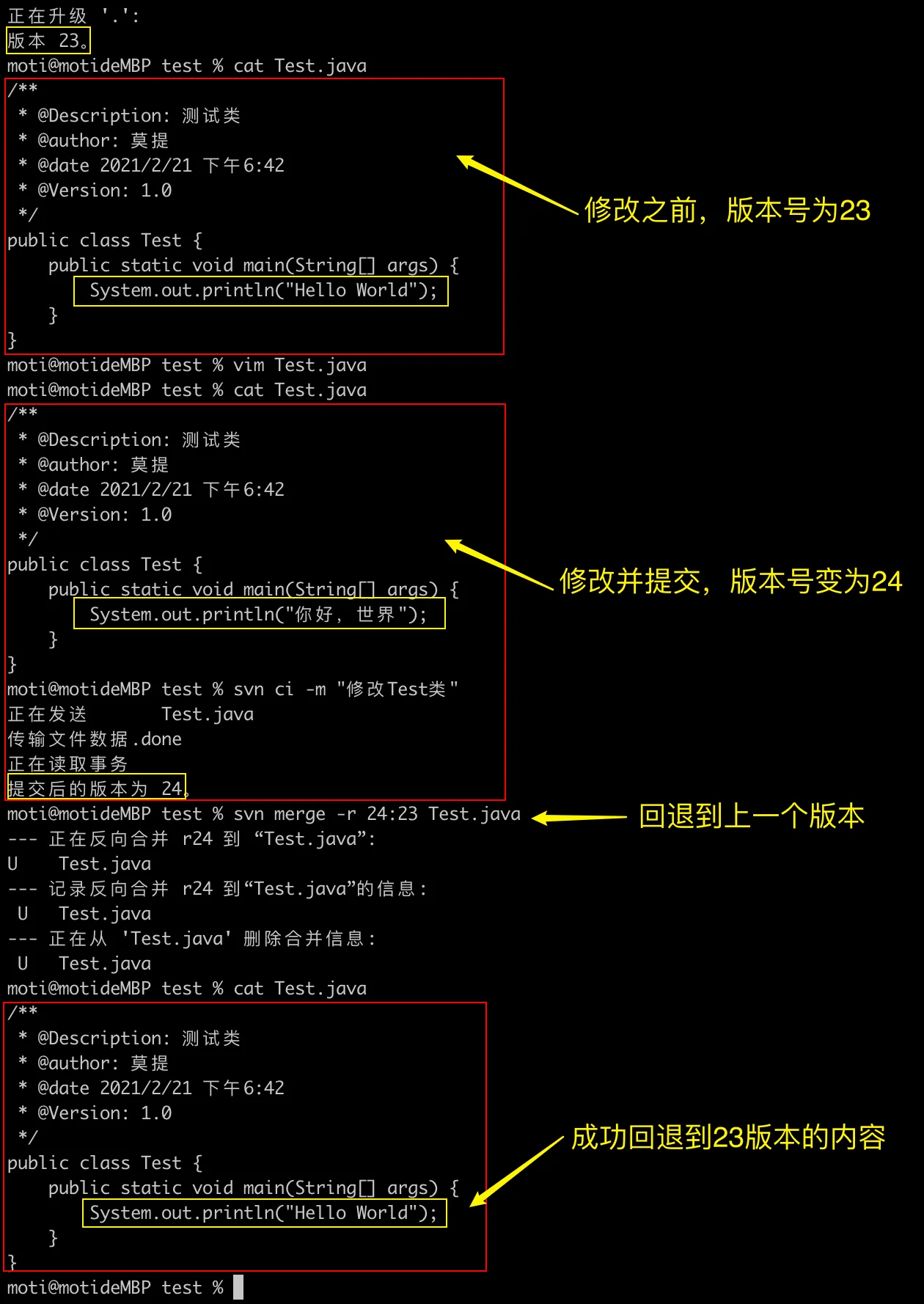 svn独立客户端使用sv独立客户端怎么设置