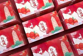 搏击玫瑰苹果版下载ufc5苹果手机版下载