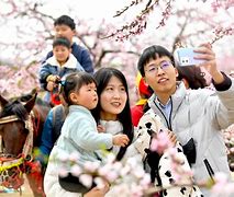 五马搜索苹果版五马进京是哪五马